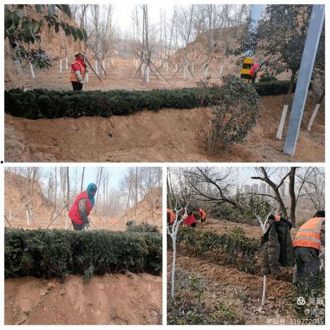 黄河公园爆料事件视频,惊现惊人一幕,网友热议不断 第3张 黄河公园爆料事件视频,惊现惊人一幕,网友热议不断 第3张