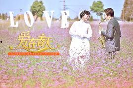 爱在春天全集在线观看,浪漫邂逅,青春旋律 第3张 爱在春天全集在线观看,浪漫邂逅,青春旋律 第3张